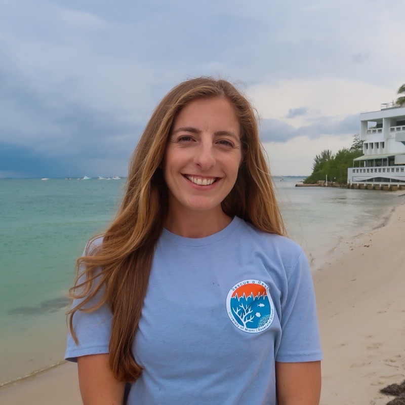 Allyson DeMerlis